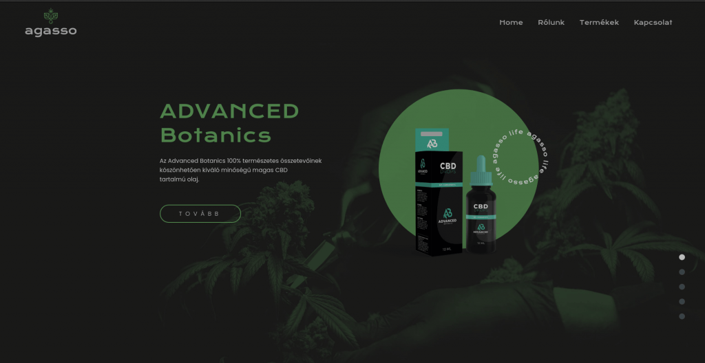 Agasso Life website development