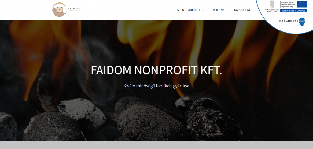 Faidom website development