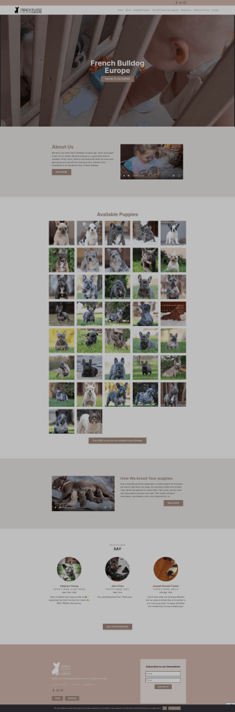 FrenchBulldogsFromEurope website development