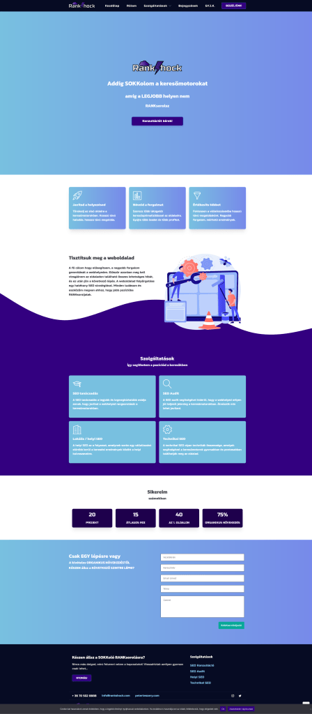 RankShock website development